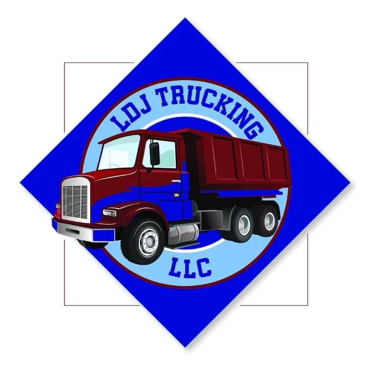 vector logo design in Houston, Alberta, South Africa, and Chicago